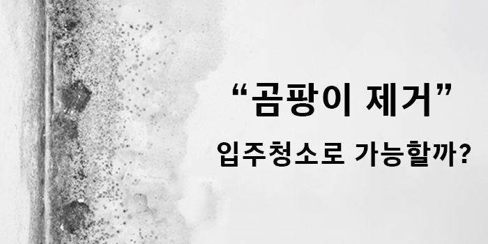 청소팁썸네일